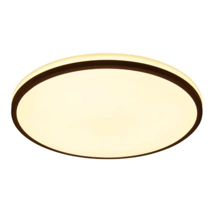 LED Dimmable ceiling light OPAL LED/48W/230V 3000-6500K + remote control