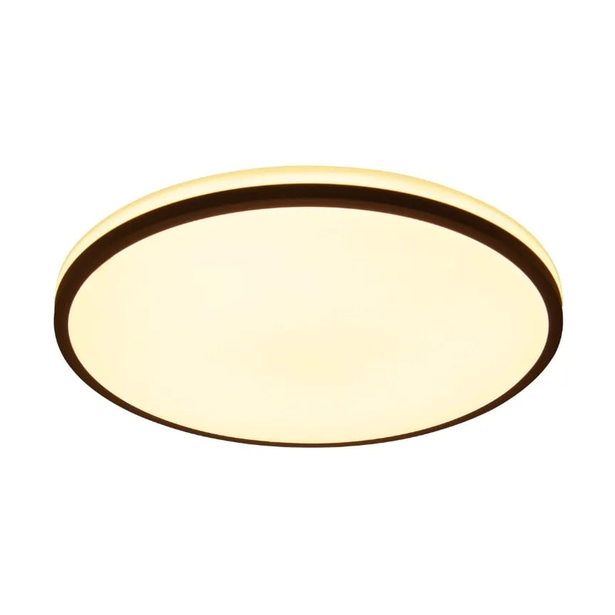 LED Dimmable ceiling light OPAL LED/48W/230V 3000-6500K + remote control