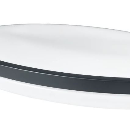 LED Dimmable ceiling light OPAL LED/48W/230V 3000-6500K + remote control