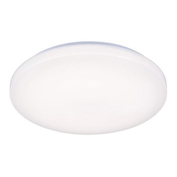 LED Ceiling light OPAL LED/50W/176-264V