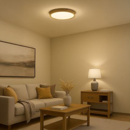 LED Ceiling Light ORINOKO, 36 W / 230 V, Ø 48 cm, beige