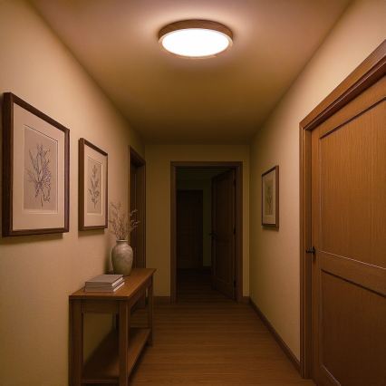 LED Ceiling Light ORINOKO, 36 W / 230 V, Ø 48 cm, beige