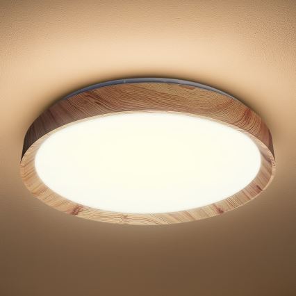 LED Ceiling Light ORINOKO, 36 W / 230 V, Ø 48 cm, beige
