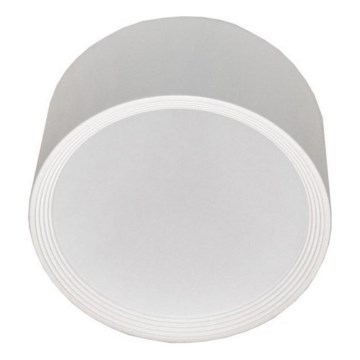 LED Ceiling light PERCI LED/20W/230V IP40 4000K white