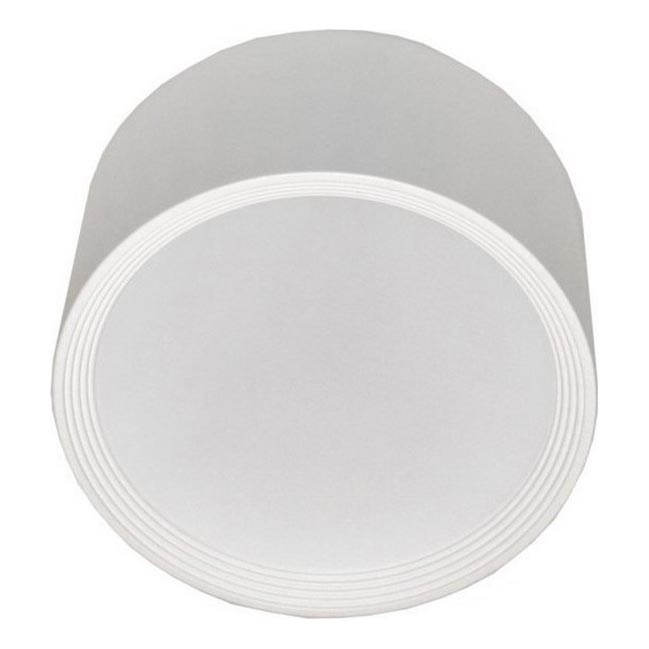 LED Ceiling light PERCI LED/20W/230V IP40 4000K white