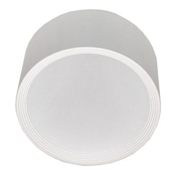 LED Ceiling light PERCI LED/30W/230V IP40 2700K white