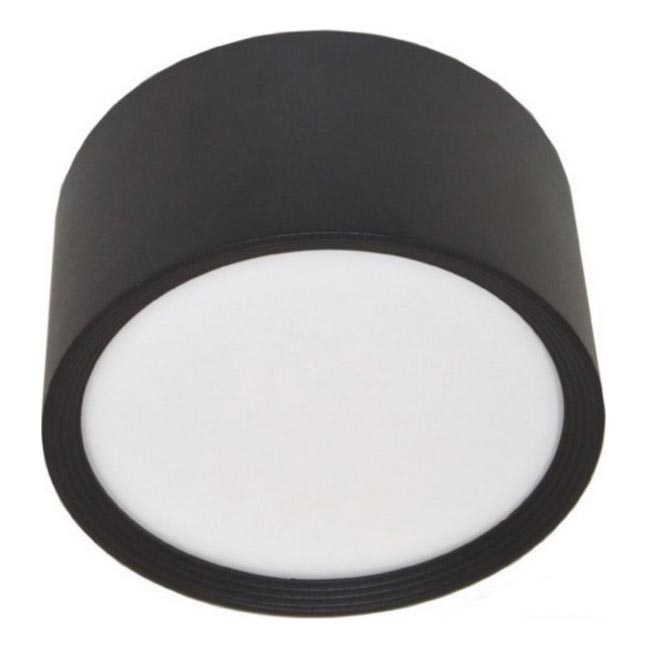 LED Ceiling light PERCI LED/30W/230V IP40 4000K black