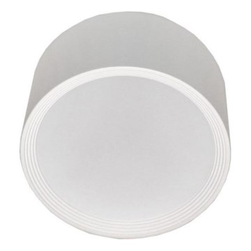 LED Ceiling light PERCI LED/30W/230V IP40 4000K white