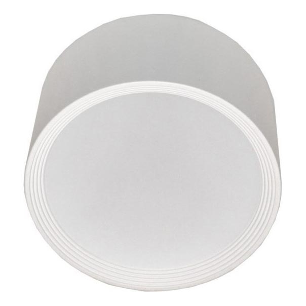 LED Ceiling light PERCI LED/30W/230V IP40 4000K white