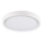 LED Ceiling light PERSE LED/15W/230V white