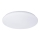 LED Ceiling light PLAIN LED/15W/230V 4000K round