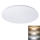 LED Ceiling light PLAIN LED/24W/230V 3000K/4000K/6000K round