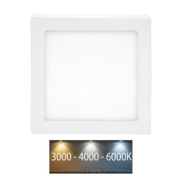 LED Ceiling light RAFA LED/12W/230V 3000/4000/6000K 17x17 cm white