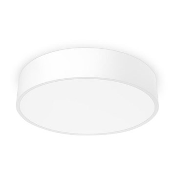 LED Ceiling light RENY 400 LED/30W/230V