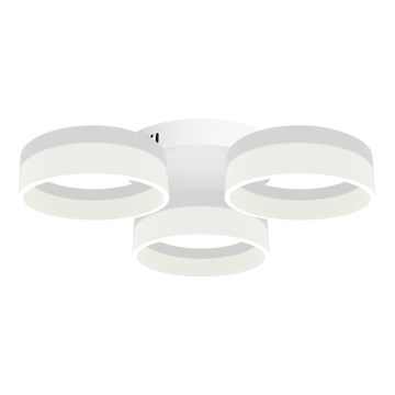LED ceiling light RING 3xLED/12W/230V white