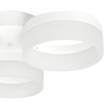 LED ceiling light RING 3xLED/12W/230V white