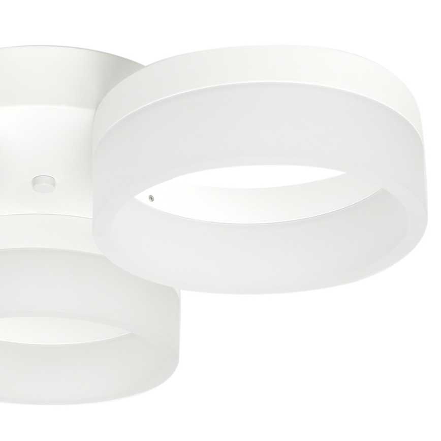 LED ceiling light RING 3xLED/12W/230V white