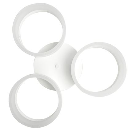 LED ceiling light RING 3xLED/12W/230V white