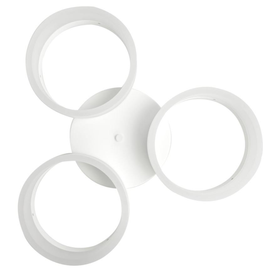 LED ceiling light RING 3xLED/12W/230V white