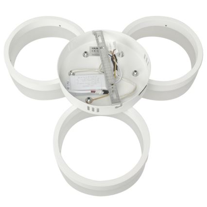 LED ceiling light RING 3xLED/12W/230V white