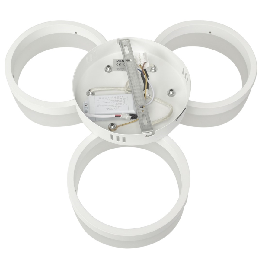 LED ceiling light RING 3xLED/12W/230V white