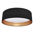LED Ceiling light RONDO LED/18W/230V black