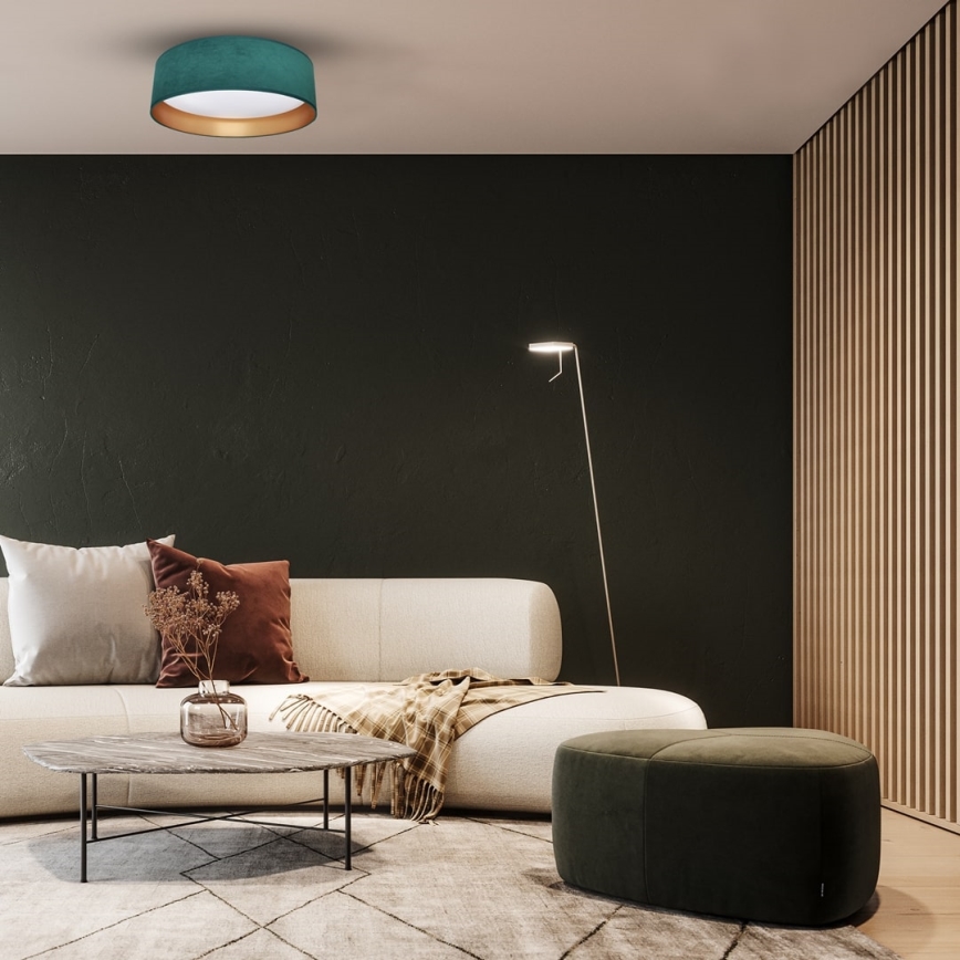LED Ceiling light RONDO LED/18W/230V green