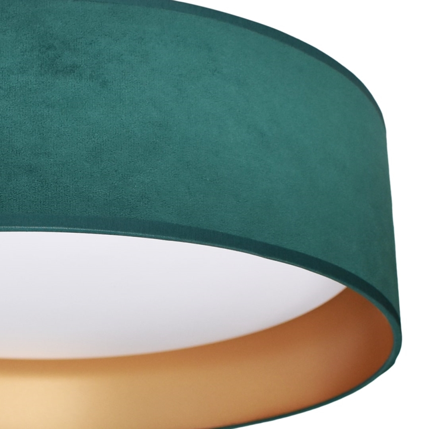 LED Ceiling light RONDO LED/18W/230V green