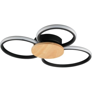 LED Ceiling Light SABINA LED/38W/230V rubberwood