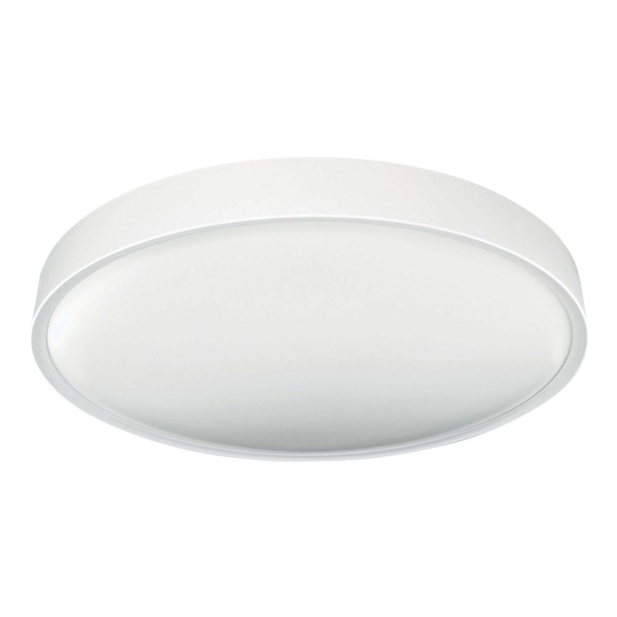 LED Ceiling light SAMER LED/24W/230V 4000K