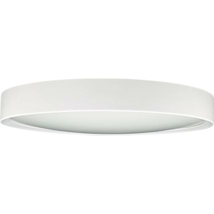 LED Ceiling light SAMER LED/24W/230V 4000K
