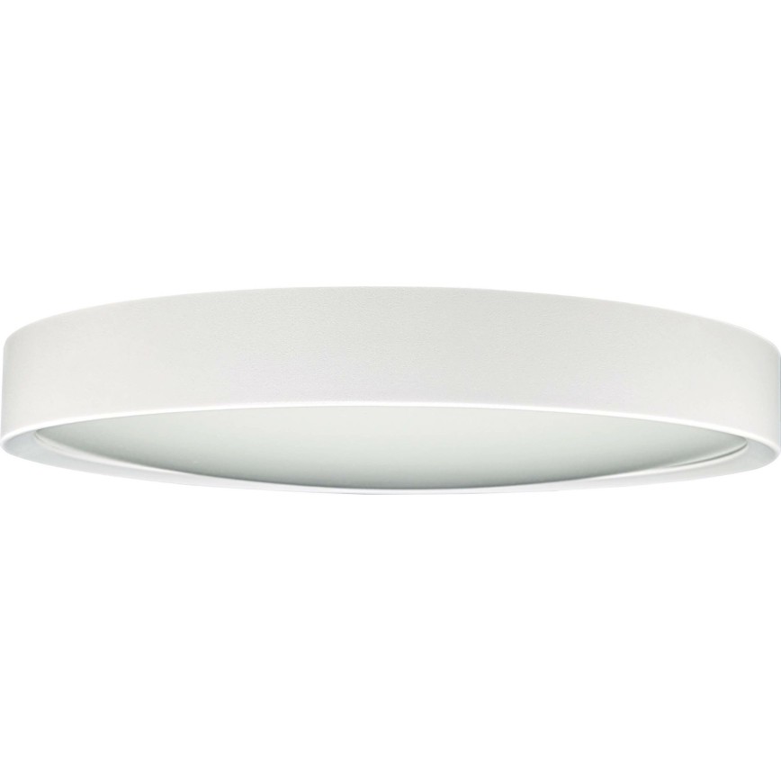 LED Ceiling light SAMER LED/24W/230V 4000K