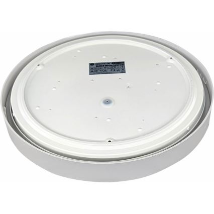 LED Ceiling light SAMER LED/24W/230V 4000K