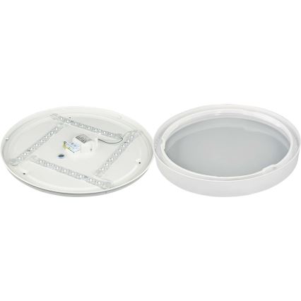 LED Ceiling light SAMER LED/24W/230V 4000K