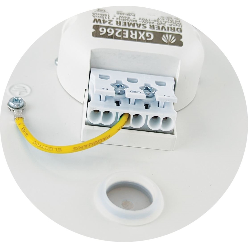 LED Ceiling light SAMER LED/24W/230V 4000K