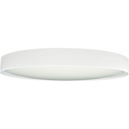LED Ceiling light SAMER LED/32W/230V 4000K