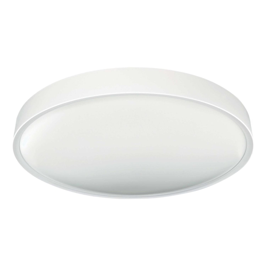 LED Ceiling light SAMER LED/40W/230V 4000K