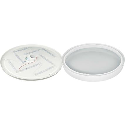 LED Ceiling light SAMER LED/40W/230V 4000K