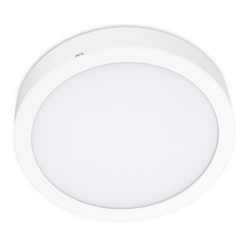 LED Ceiling light SIGARO CIRCLE LED/24W/230V 4000K IP40
