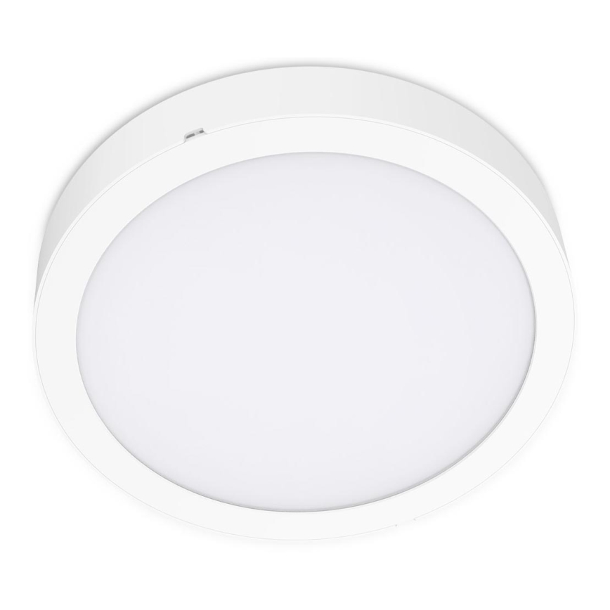 LED Ceiling light SIGARO CIRCLE LED/24W/230V 4000K IP40