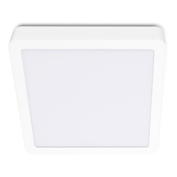 LED Ceiling light SIGARO SQUARE LED/18W/230V 4000K IP40