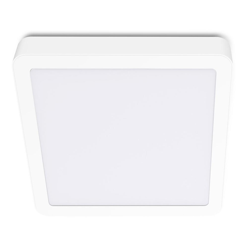 LED Ceiling light SIGARO SQUARE LED/24W/230V 4000K IP40
