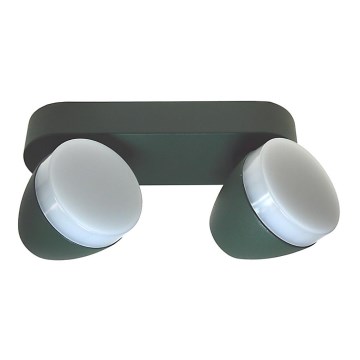 LED Ceiling light SURMUR 2xLED/6W/230V green