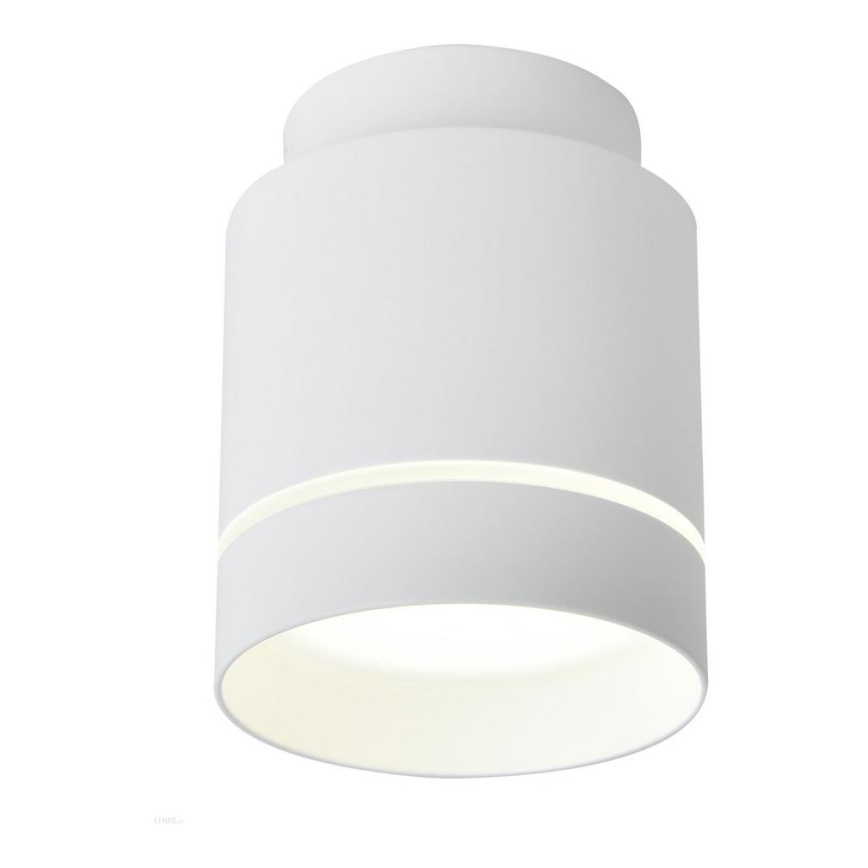 LED Ceiling light TUBA LED/12W/230V