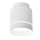 LED Ceiling light TUBA LED/12W/230V