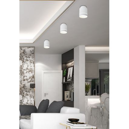 LED Ceiling light TUBA LED/12W/230V