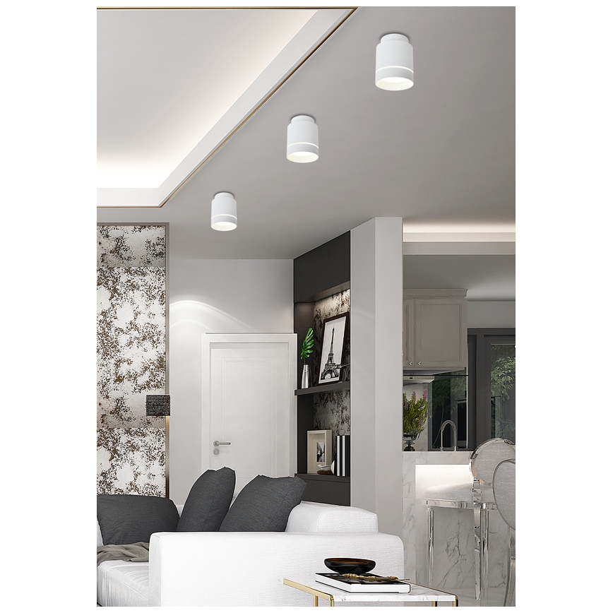 LED Ceiling light TUBA LED/12W/230V