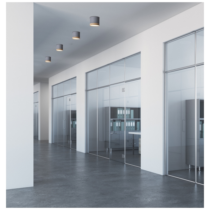 LED Ceiling light TUBA LED/9W/230V