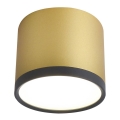 LED Ceiling light TUBA LED/9W/230V