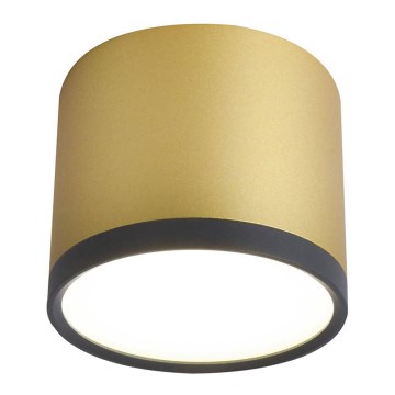 LED Ceiling light TUBA LED/9W/230V